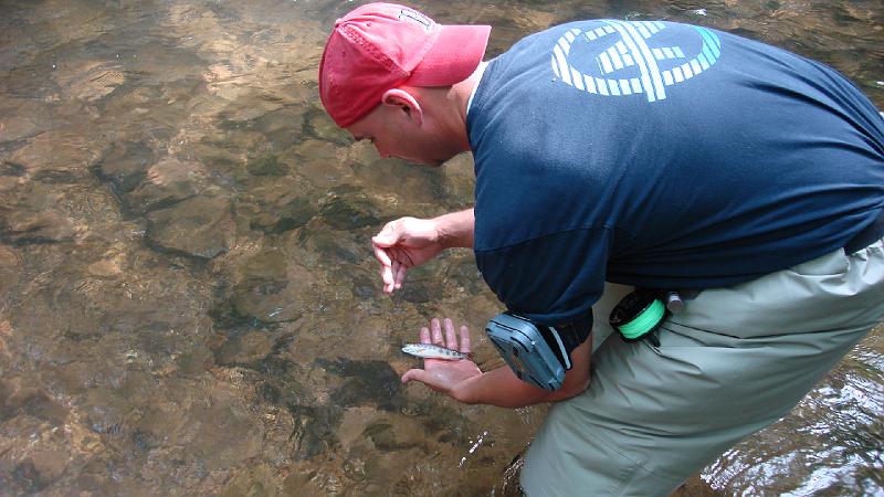 Dave got a little Brookie.JPG